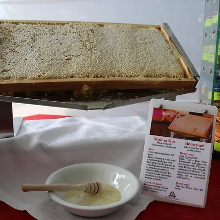 Ariha Cosenza Hotel 4*