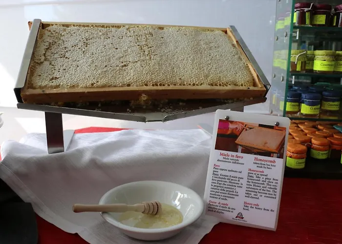 Ariha Cosenza מלון 4*